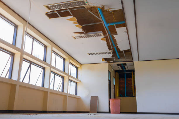 Best Water damage restoration services  in Herriman, UT