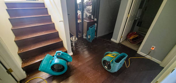 Best Sewage cleanup and water damage restoration  in Herriman, UT
