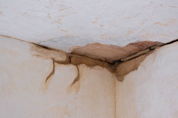 Best Professional water damage repair  in Herriman, UT