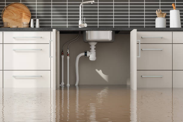 Best Mold removal after water damage  in Herriman, UT