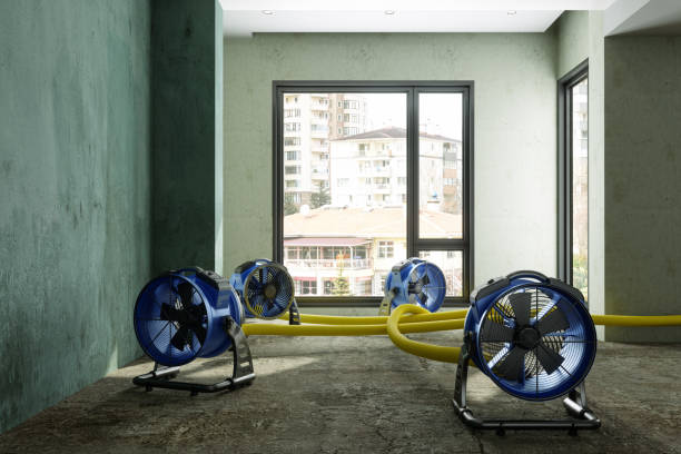 Best Ceiling water damage repair  in Herriman, UT