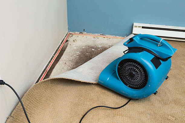 Best Local water damage restoration  in Herriman, UT